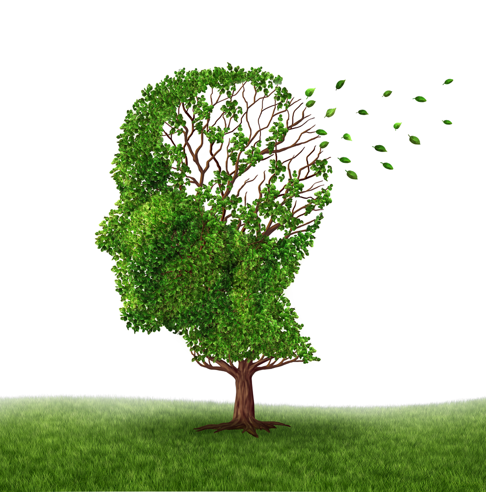 what are the symptoms of Alzheimer 