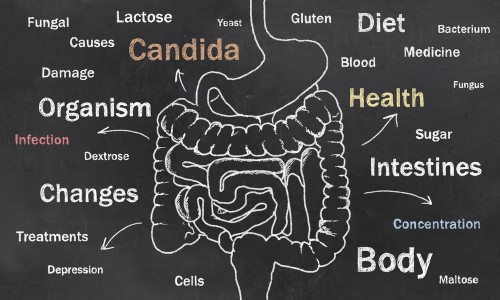 signs-of-candida-overgrowth-and-how-to-treat-it-reliablerxpharmacy