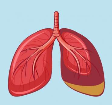 Does Asthma Make You Immunocompromised? | ReliableRxPharmacy Blog